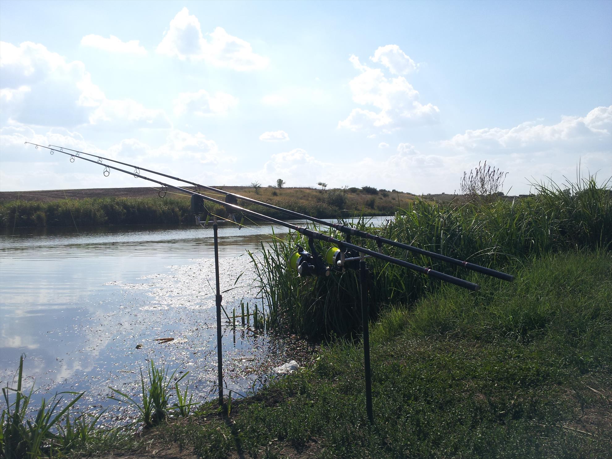 Walter Maracineanu - 20130901155649.jpg